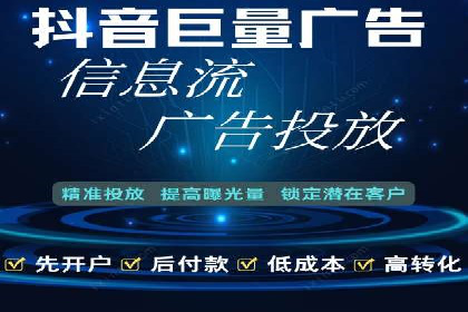 竞价托管与SEO结合的案例分析
